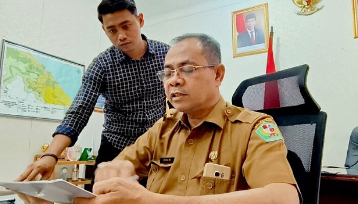 Pemkab Pidie Rekrut 300 PPPK, Prioritas Tenaga Kesehatan Dan Guru