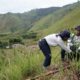 Upaya konservasi, penanaman pohon dan Macadamia Nut di STA Danau Toba dalam program Kehati Inalum. (Waspada/ist)