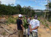 Pejabat KLHK Bantah Bekingi Illegal Logging Di Tapsel