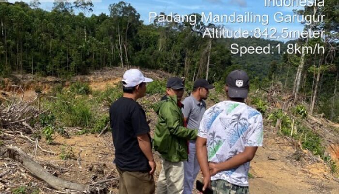 Pejabat KLHK Bantah Bekingi Illegal Logging Di Tapsel