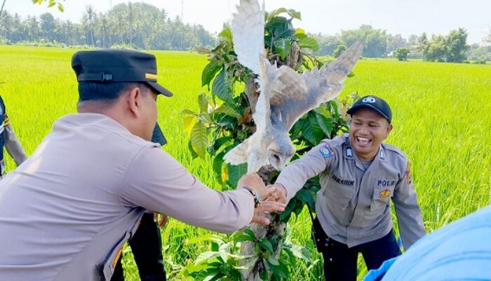Polres Pidie Sosialisasi Setop Pemburuan Jampok