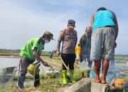 Kapolsek Bersama Warga Tanahjawa Berburu Tikus Sawah