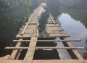 Meurah Budiman Instruksikan Dinas Teknis Perbaiki Jembatan Lubuk Damar