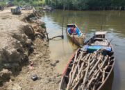 Dua Pelaku Pembalakan Liar Mangrove Wajib Lapor Ke Polres Langsa
