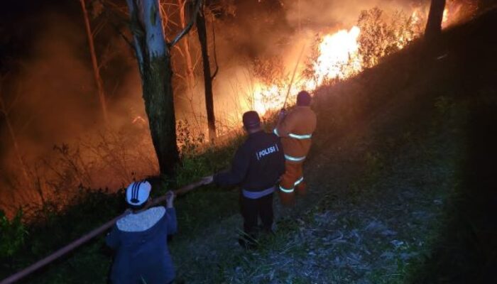 Hutan Di Tongging Terbakar