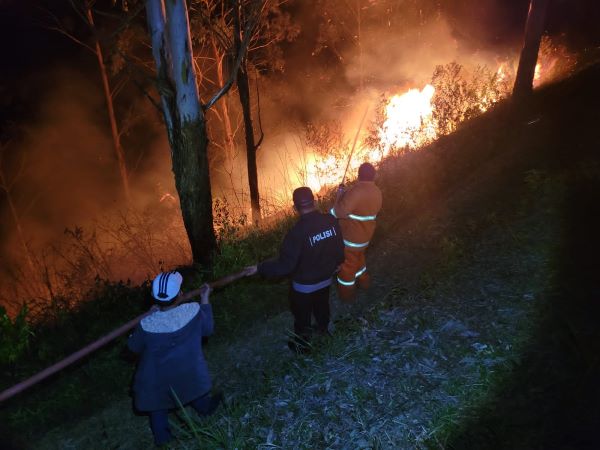 SEKITAR 20 hektar lahan di Perbukitan Dolok Panggulangan Desa Tongging, Kecamatan Merek terbakar. Waspada/ Ist.