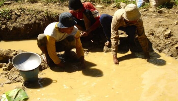 4 Pencari Emas Meninggal