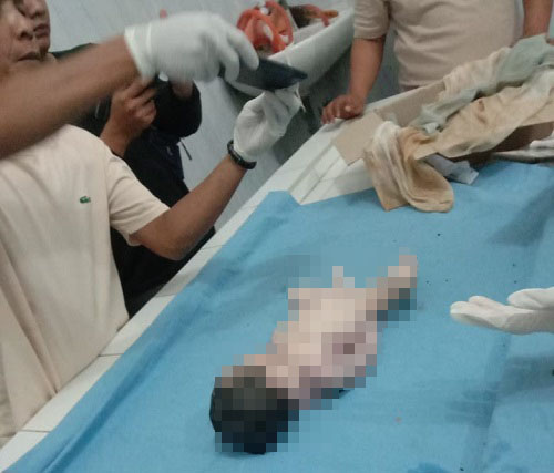 Warga menemukan jasad bayi dalam kardus di pinggir pagar warga di Lorong Aekgaloga, Desa Pidolilombang, Kec. Panyabungan, kemudian dibawa ke RSUD Panyabungan. Waspada/Ist