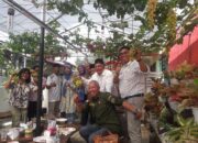 Budidaya Tanaman Anggur di Medan Johor Patut Menjadi Referensi Petani Angur