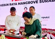 Megawati Resmikan Kebun Raya Mangrove Surabaya