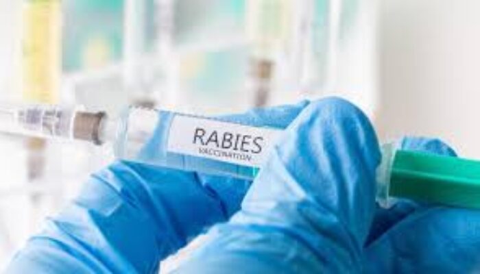 Dinkes Sumut: Ada Enam Kasus Rabies di Sumut