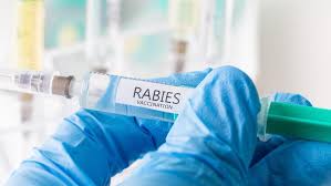 Dinkes Sumut: Ada Enam Kasus Rabies di Sumut