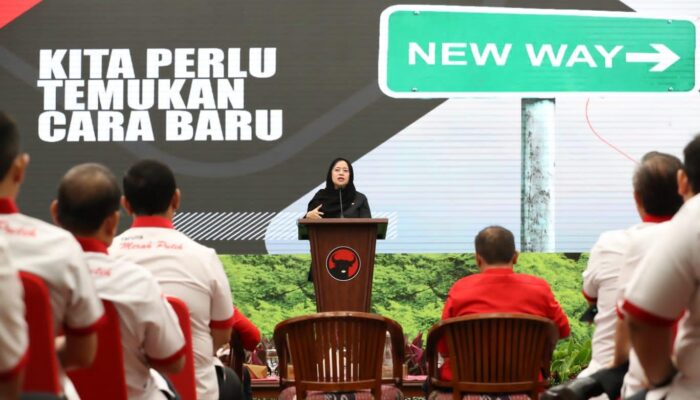 Di Tengah Inflasi, Tanaman Padi Di Tangse Diterjang Banjir