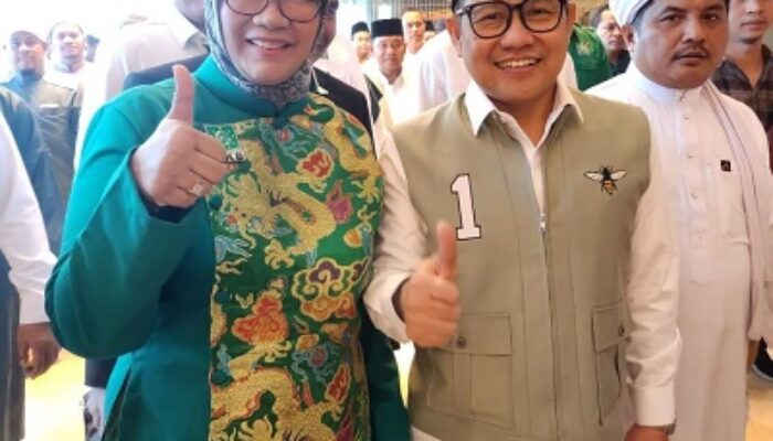 Afrida Ginting, Terjun Ke Dunia Politik Perjuangkan Hak-Hak Kaum Perempuan