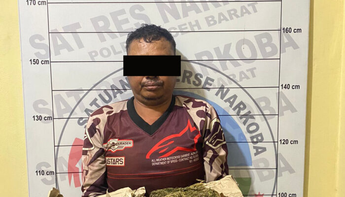 Polres Aceh Barat Ungkap Kasus Ganja