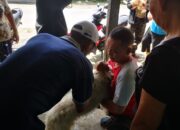 Pemko Medan Lakukan Penyuntikan Vaksin Rabies Terhadap Hewan Peliharaan Masyarakat