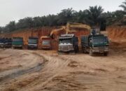 Ketua Komisi B Minta DLH Periksa Izin Lingkungan CV.RAA Di Siamporik