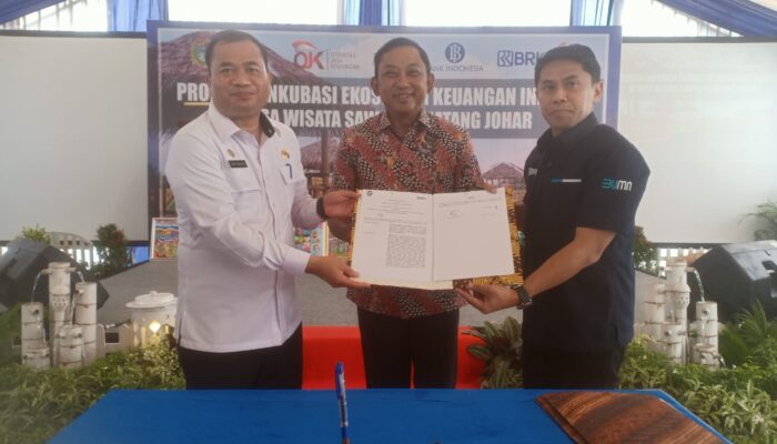 OJK Bersama BRI Dan Pemkab DS Majukan Desa Wisata Pematang Johar