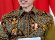 Jokowi Minta Pengembang Perhatikan Dampak Sosial Dan Lingkungan 