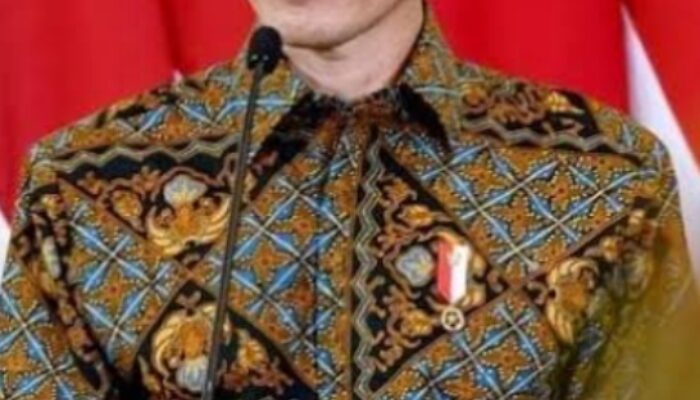 Jokowi Minta Pengembang Perhatikan Dampak Sosial Dan Lingkungan 