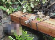 Heboh, Mayat Tertimpa Sepedamotor Ditemukan Di Desa Jambo Labu