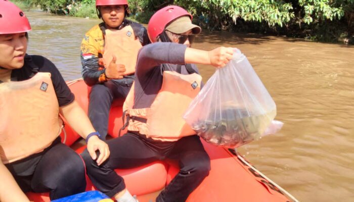 5.000 Bibit Ikan Gurami dan Nila Ditabur Ke Sungai Deli