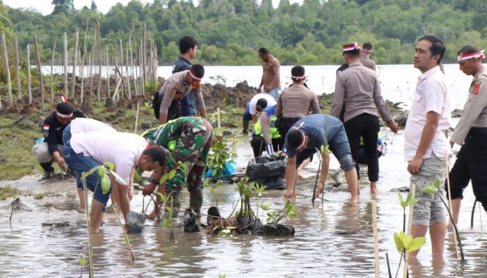 Kapolres Simeulue Lestarikan Mangrove