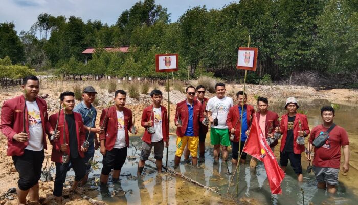 DPD IMM Sumut Tanam Mangrove Di Lubuk Kertang Kabupaten Langkat