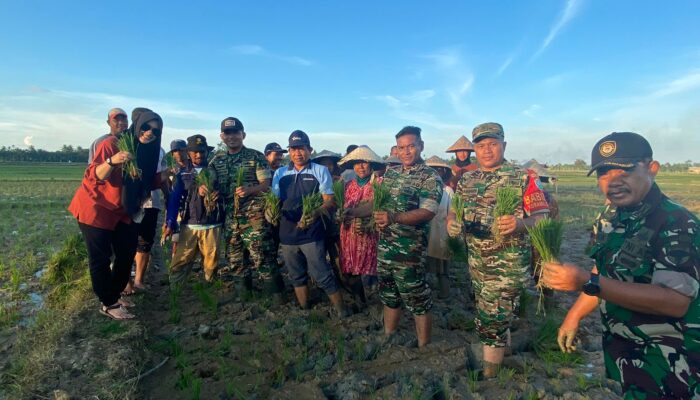 Dandim 0103/Aut Pimpin Penanaman Padi Di Lahan Demplot Ketahanan Pangan