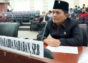 Anggota DPRD Sumut Poaradda Nababan: Pemprovsu Perlu Terbitkan Pergub Minta Warga Tak Berobat Ke LN