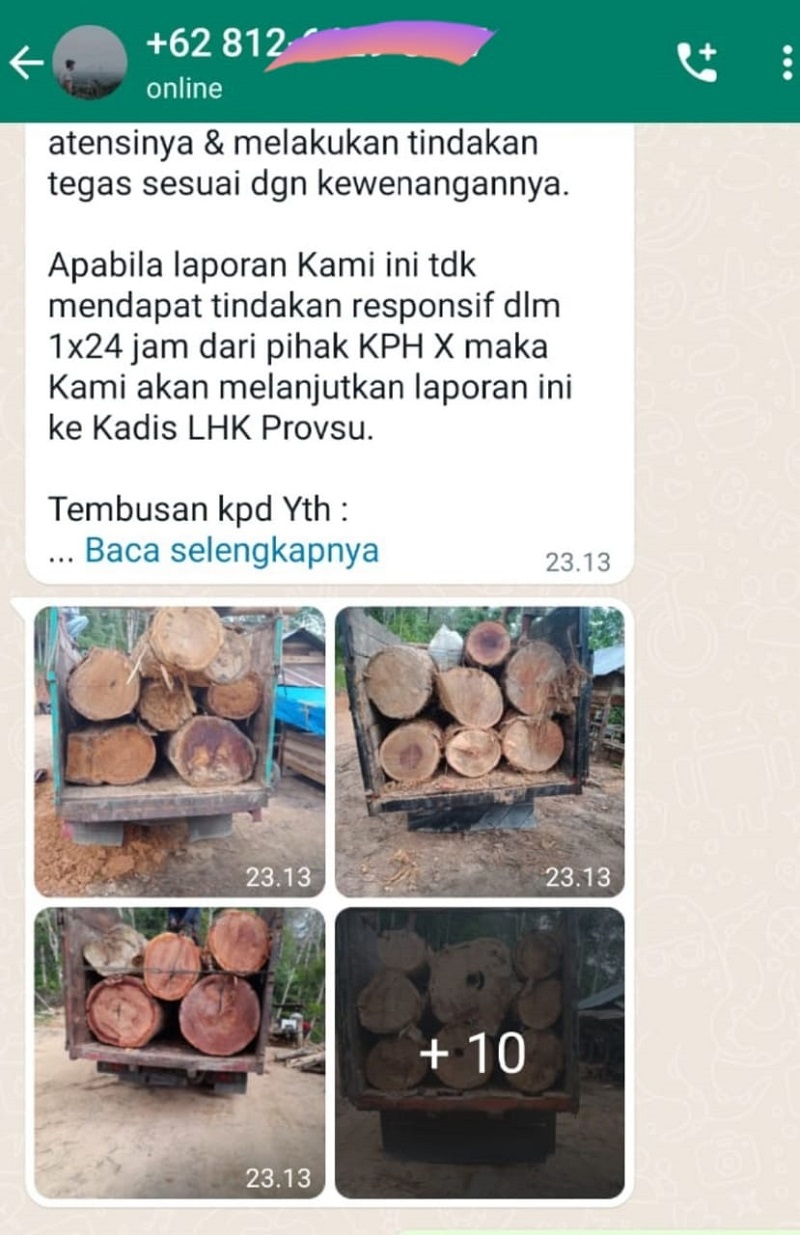 Illegal Logging Di Tapsel, Sesama 'Raja Hutan Saling Terkam'
