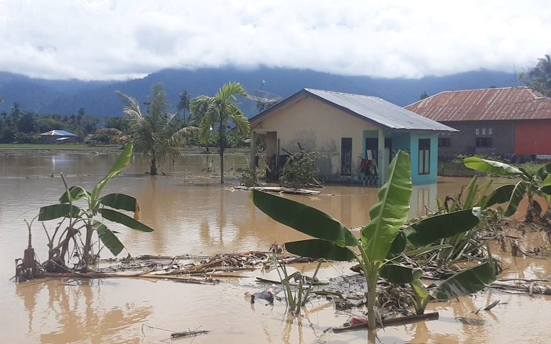 Agara Masih Diguyur Hujan Agara Masih Diguyur Hujan