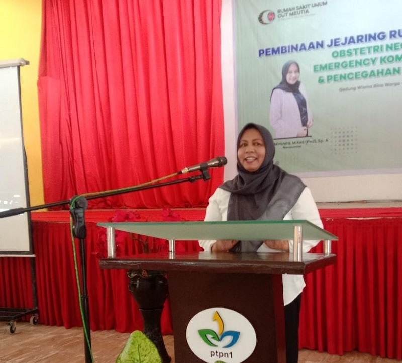 RSCM Gelar Pembinaan Jejaring Rujukan PONEK Dan Pencegahan Stunting RSCM Gelar Pembinaan Jejaring Rujukan PONEK Dan Pencegahan Stunting