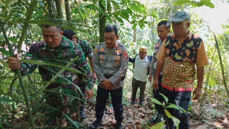 Warga Temukan Jejak Harimau Dekat SD, Kotanopan Waspada