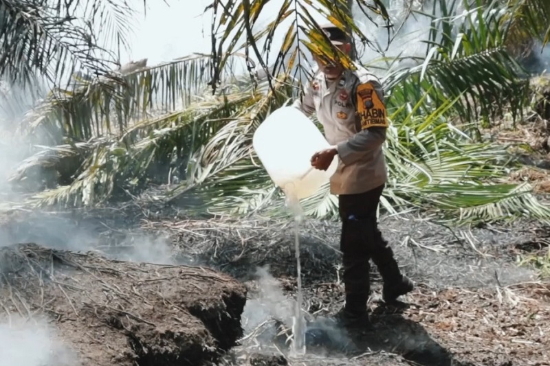 19 Ha Lahan Sawit Di Asahan Terbakar