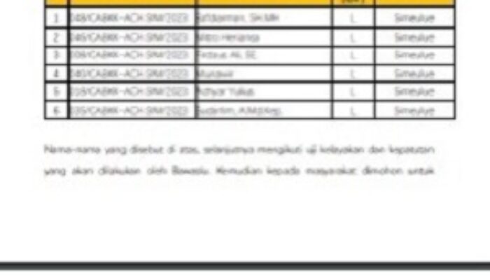 6 Calon Panwaslih Simeulue Lulus Timsel Zona IV