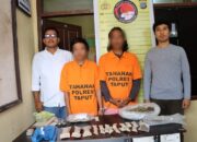 Polres Taput Ungkap Tersangka Pemasok Ganja