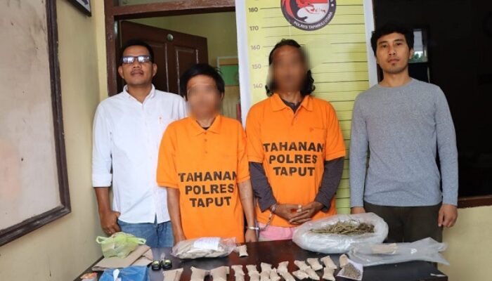 Polres Taput Ungkap Tersangka Pemasok Ganja