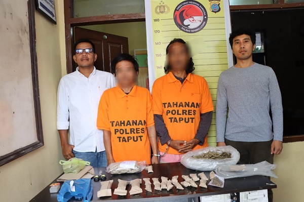 Dua tersangka penyalahgunaan narkoba berupa ganja kering, 1 pengedar dan 1 pemasoknya di tahan Tim Opnal Narkoba Polres Taput. Waspada/ist