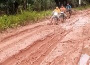 Dikucurkan Rp50 M Perbaiki Jalan Tabuyung Rusak Parah