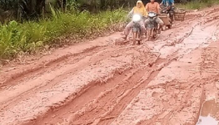 Dikucurkan Rp50 M Perbaiki Jalan Tabuyung Rusak Parah