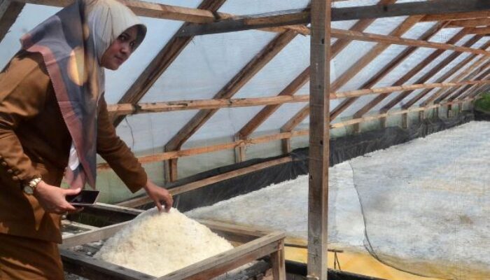 Potensi Garam Dikembangkan
