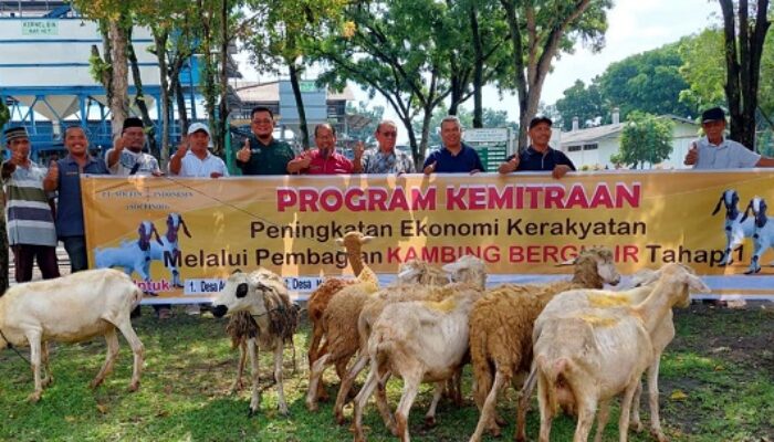 Socfindo BB Dukung Perekonomian Masyarakat Dengan Kambing Bergulir