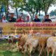 Manajer PT Socfindo BB H Ricky Irawan didampingi Askep Socfindo BB Horas Simamora saat menyerahkan 2 paket bantuan ternak kambing kepada warga prasejahtera Desa Aras Panjang dan Martebing, Sabtu (12/8) kemarin. (Waspada/Ist)