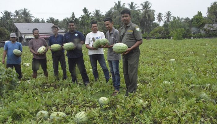 Kader UBI Motivasi Petani Aceh Barat Olah Lahan Tanpa Bakar