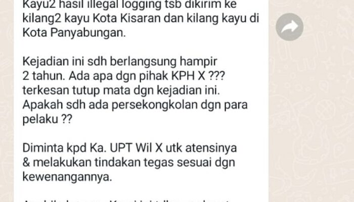Illegal Logging Di Tapsel, Sesama ‘Raja Hutan Saling Terkam’
