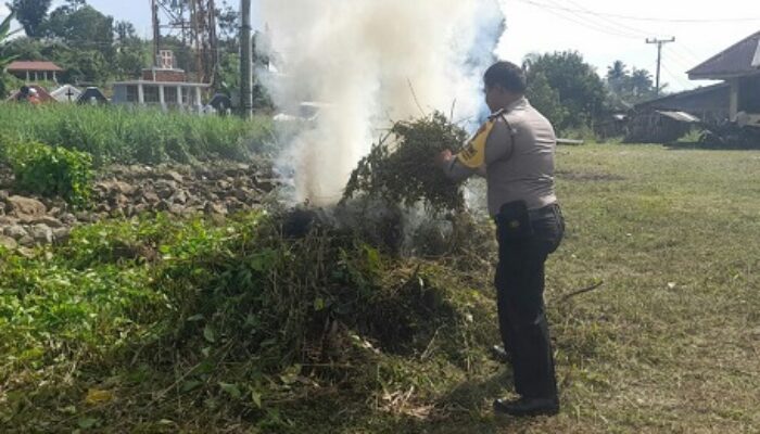 Sambut HUT Ke-78 RI, Bhabinkamtibmas Dan Perangkat Kelurahan Bersihkan Puskud