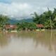 Lahan sawah Kute Kuning rusak direndam banjir terlihat dalam gambar. Waspada/Seh Muhammad Amin