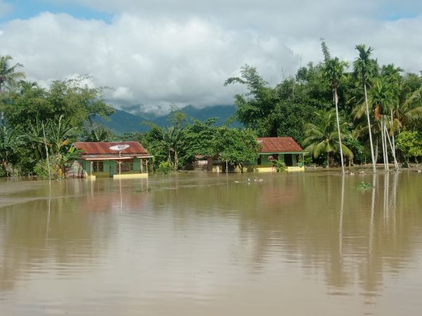 Lahan sawah Kute Kuning rusak direndam banjir terlihat dalam gambar. Waspada/Seh Muhammad Amin