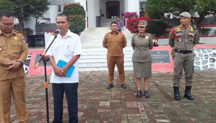 Bosi Sianipar Sharing Budidaya Ternak Ayam Metode Permentasi Pakan